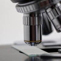 Best E-commerce Agency